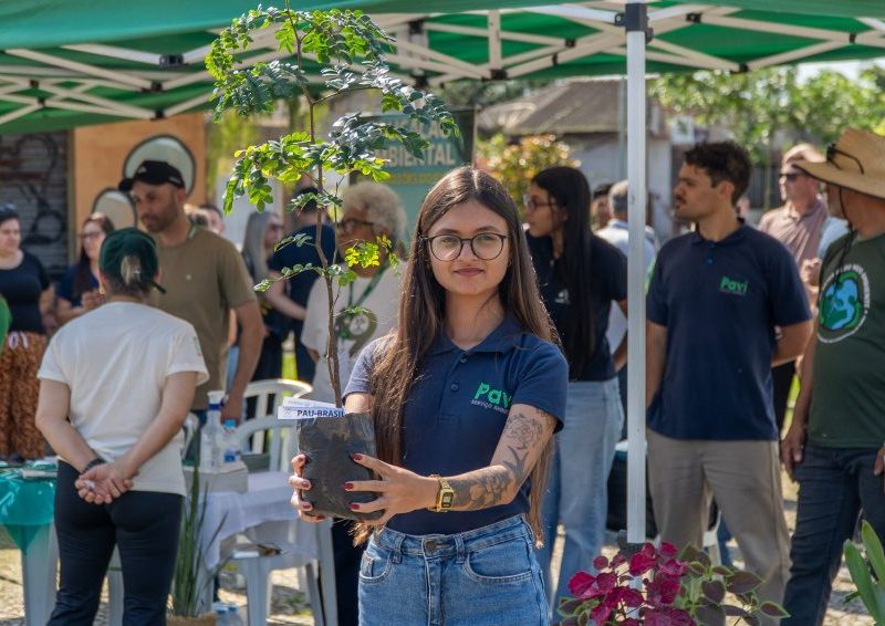 Paranaguá celebra o dia da árvore com plantio de 50 cerejeiras
