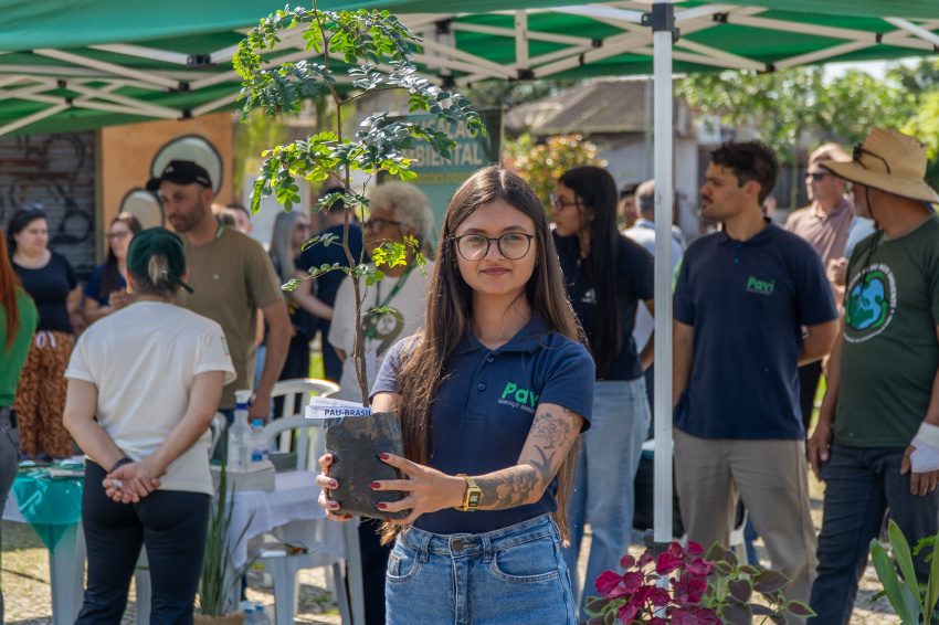 Paranaguá celebra o dia da árvore com plantio de 50 cerejeiras