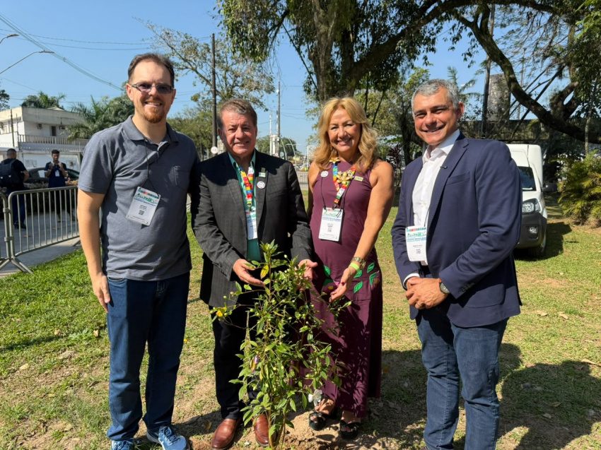 Paranaguá é reconhecida internacionalmente por arborização urbana