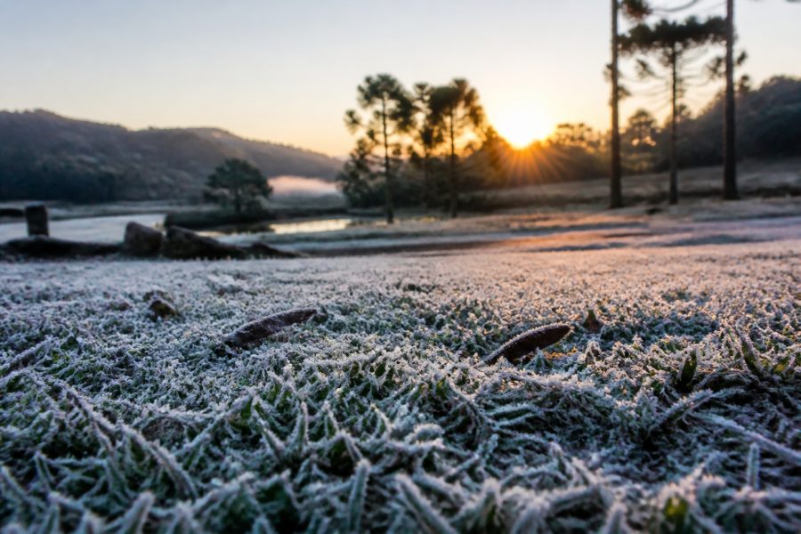 Pode ter geada nesta madrugada? Simepar alerta para frio intenso no Paraná