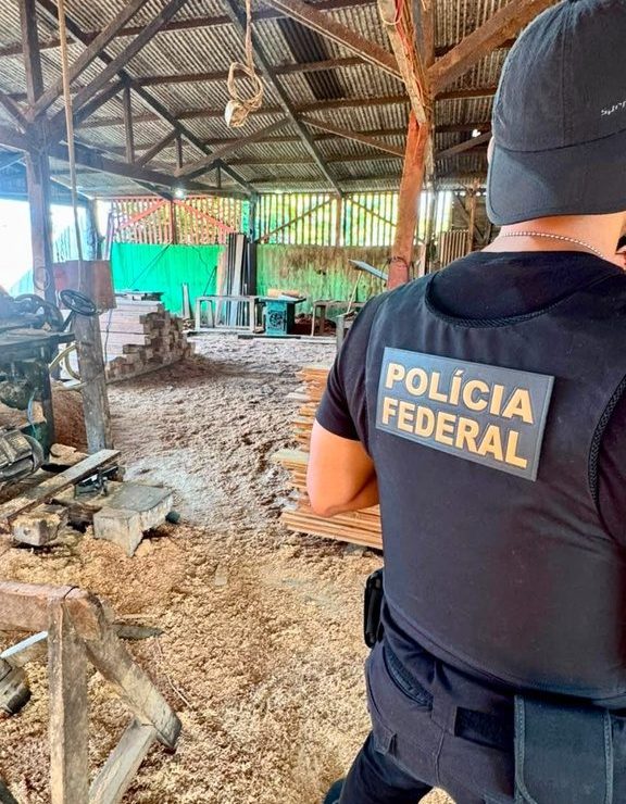 Polícia federal combate desmatamento em operação no amazonas