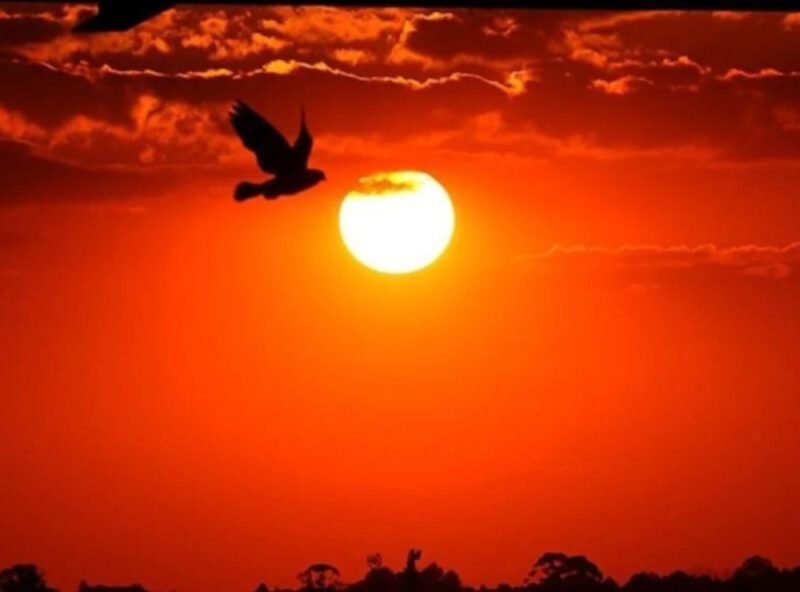 Alerta vermelho de calor coloca municípios do Paraná em grande perigo