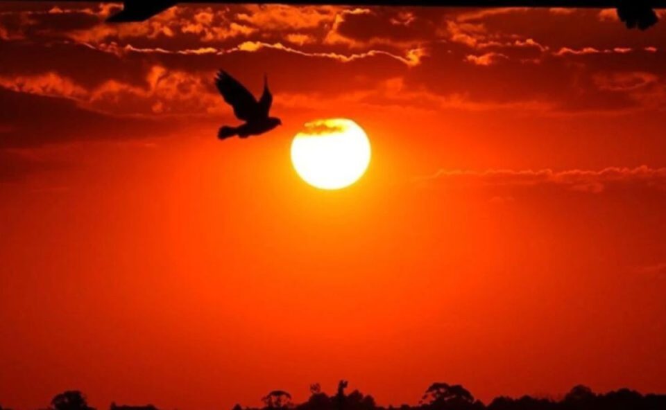 Risco à saúde! Alerta vermelho de onda de calor coloca todas as cidades do Paraná em grande perigo