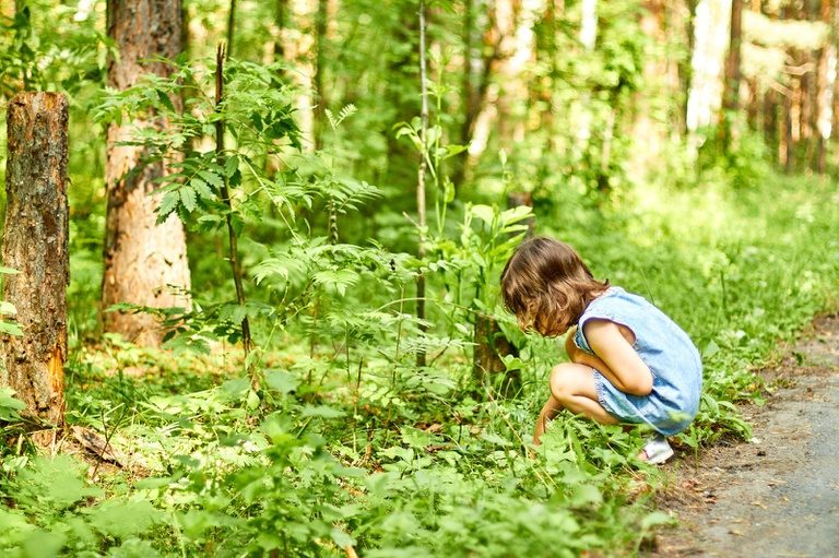 Nova lei garante acesso de crianças e adolescentes à natureza