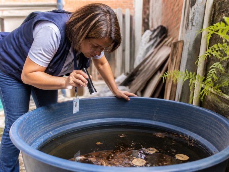 São Paulo registra mais de 58 mil casos de dengue em 2023