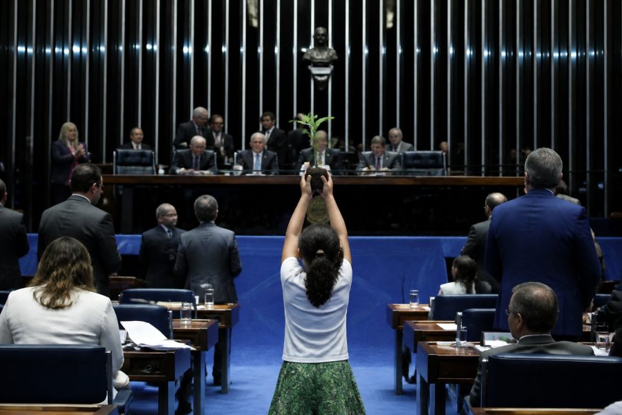 Senado aprova prioridade ao direito de crianças a um meio ambiente saudável
