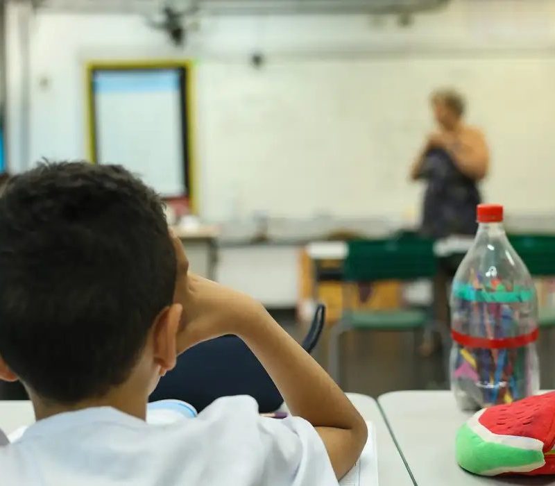 Tesouro direto: títulos para educação batem recorde em agosto