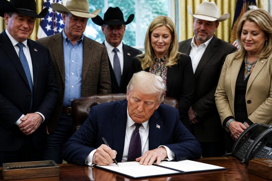 Trump implementa medidas para apoiar pecuaristas e reduzir preços da carne