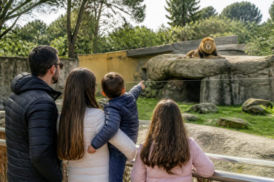 Zoológico de Curitiba reabre neste feriado prolongado para visitas