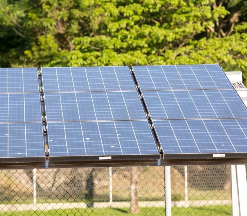 Eco Invest Brasil atrai quase R$ 50 bi em propostas para o setor verde