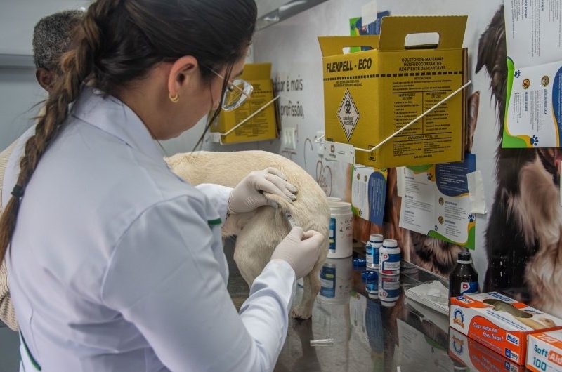 VetMóvel realiza vacinação gratuita de cães e gatos em Paranaguá nos dias 20 e 21 de outubro