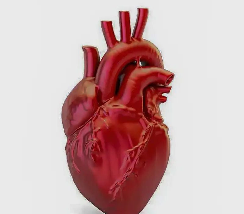 Brasil registra uma morte por doença cardiovascular a cada 72 segundos