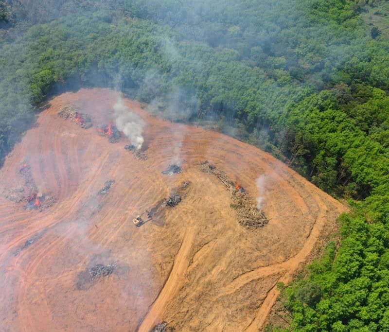 Desmatamento na Amazônia atinge a menor taxa da história