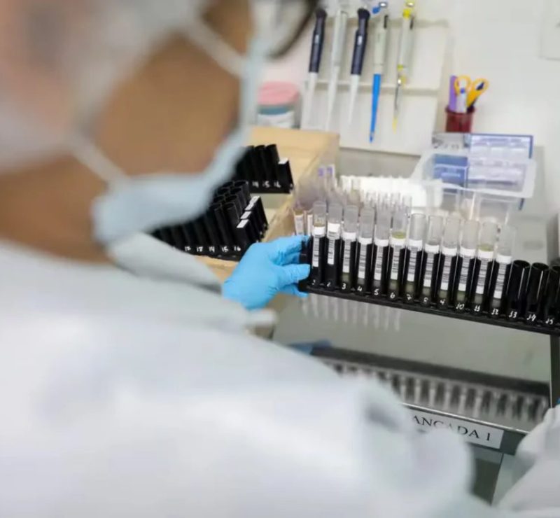 Anvisa autoriza testes de vacina contra malária