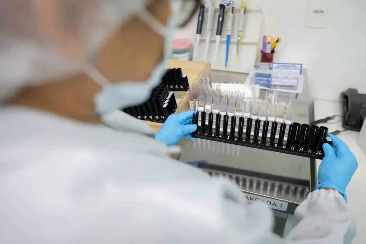 Anvisa autoriza testes em humanos de vacina brasileira inédita contra malária