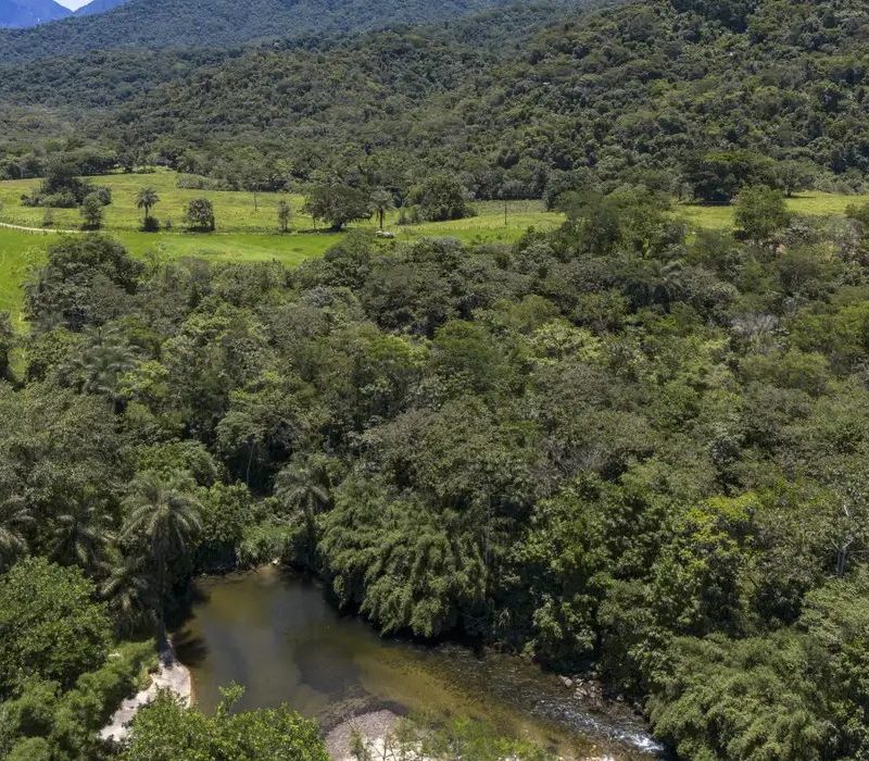 Brasil reduz área de vegetação nativa fragmentada em quase metade