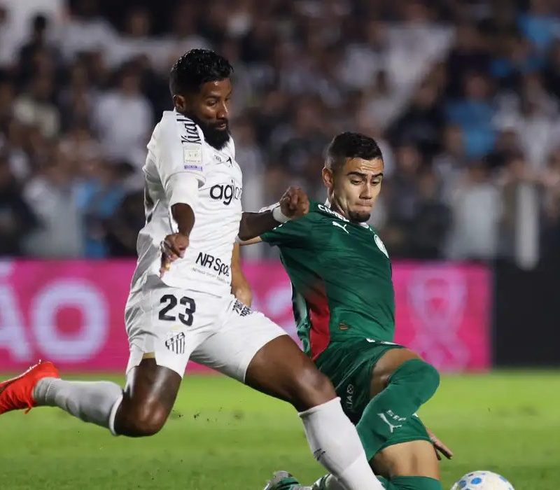 Palmeiras empata com o santos na vila belmiro e flamengo comemora