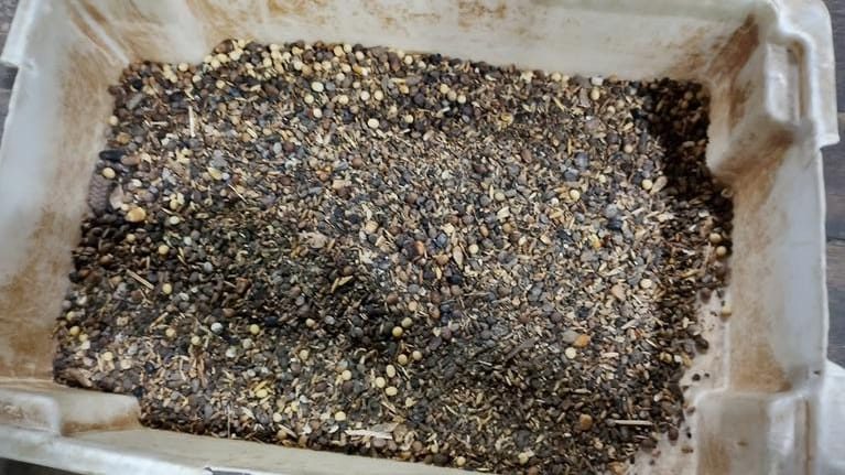 Polícia Federal intercepta caminhão com soja adulterada em Paranaguá