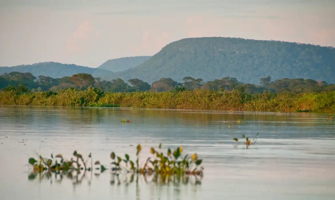 Cerrado brasileiro perdeu 13,9 milhões de hectares de margens de rios