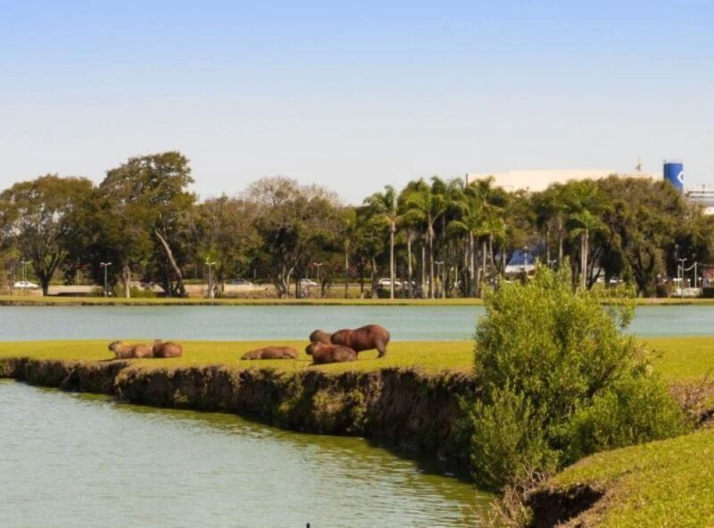 Paraná tem trégua nas chuvas e sol retorna após temporal