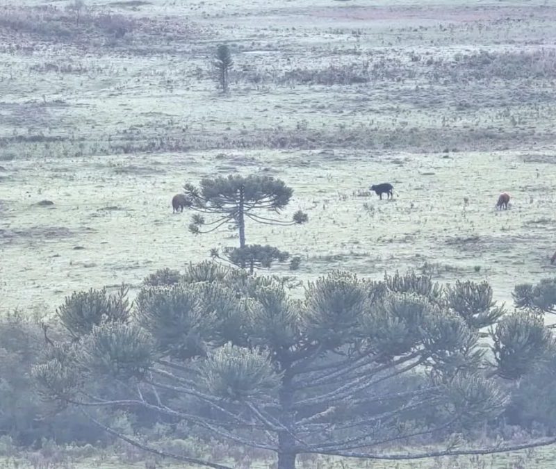 Frio histórico em outubro atinge cidades do Sul do Brasil