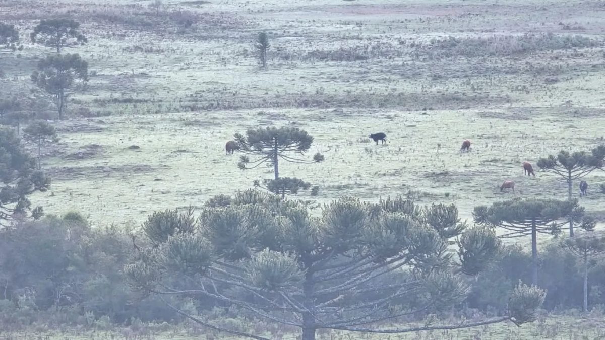 Cidades do Sul têm maior frio em décadas no mês de outubro