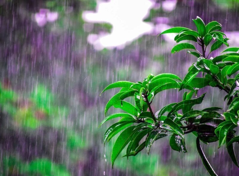 Chuva generalizada vai atingir todo o estado do paraná nesta semana