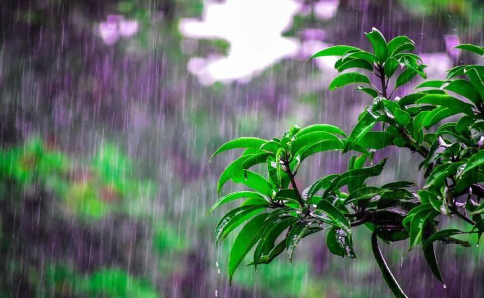Com data marcada, chuva promete atingir todo o estado do Paraná ainda nesta semana; veja previsão