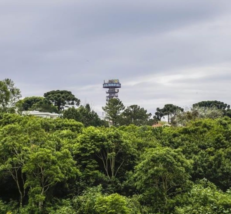 Previsão do tempo aponta quinta-feira nublada e fria em Curitiba