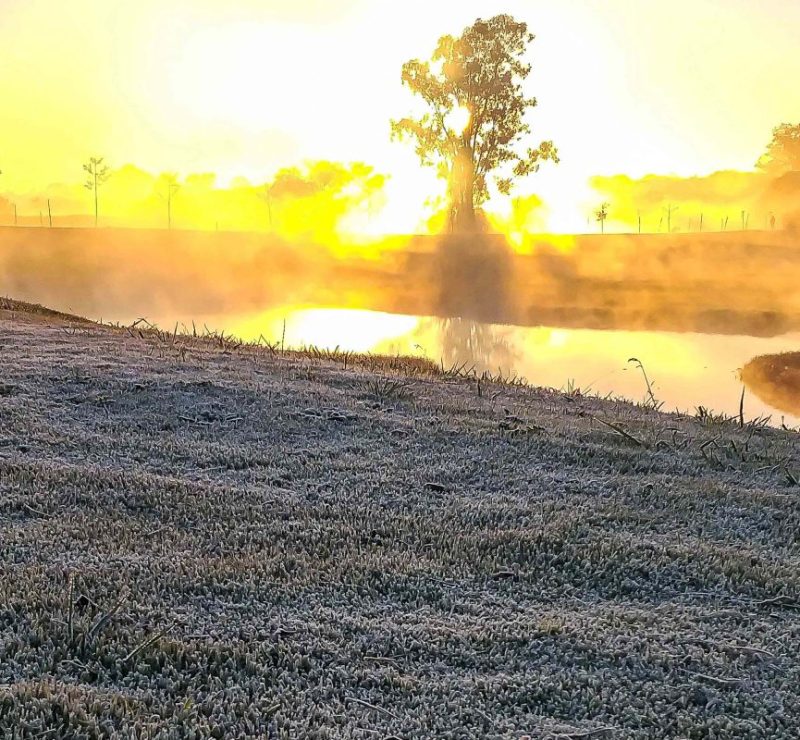 Amplitude térmica e El Niño desafiam a saúde humana no Brasil