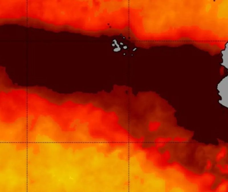El Niño costeiro atinge força extrema no Pacífico e alarma cientistas