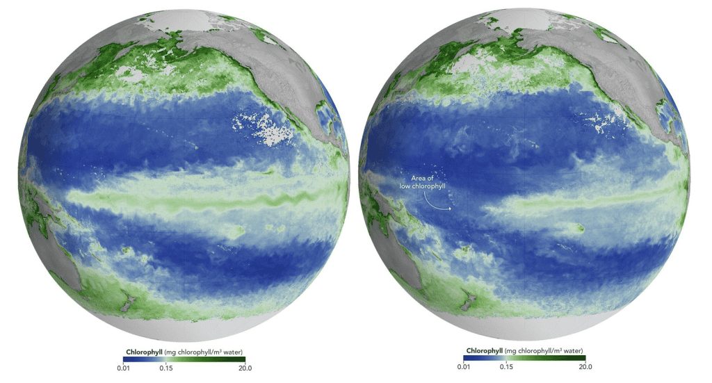 El Niño muda a cor do oceano e ameaça vida marinha