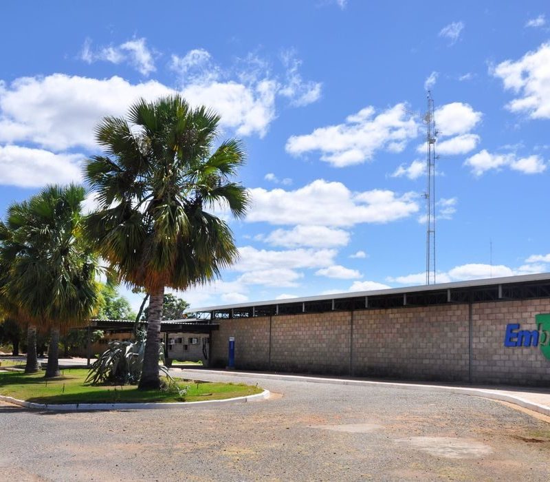 Embrapa florestas é escolhida como centro de referência mundial pela FAO
