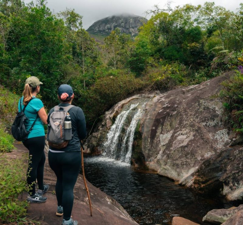 Espírito Santo usa Mata Atlântica para expandir turismo sustentável