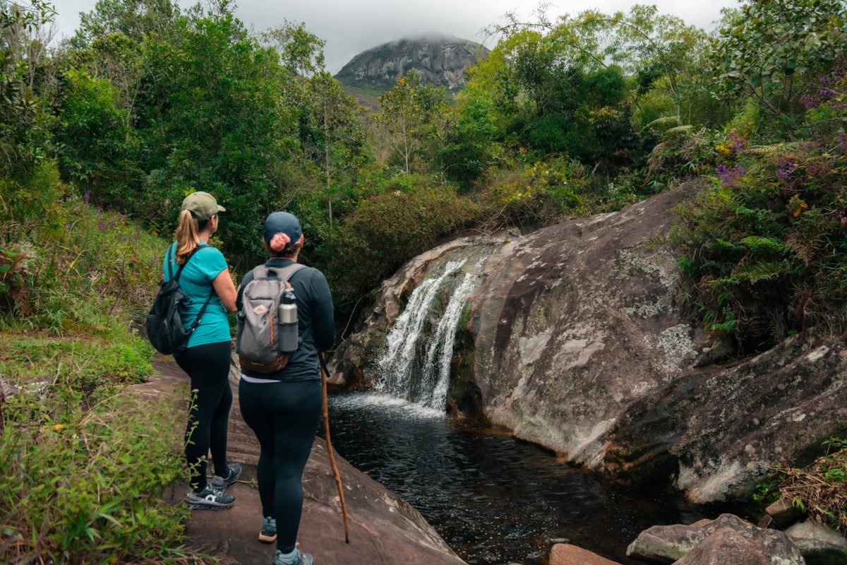 Espírito Santo aposta na Mata Atlântica para atrair novos turistas