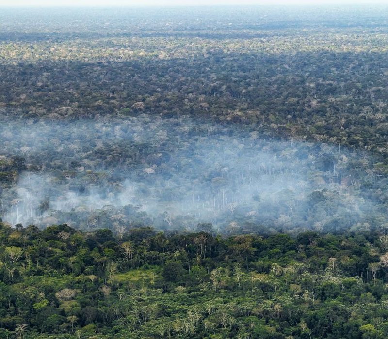 Estudo revela ação humana como principal causa de carbono na Amazônia
