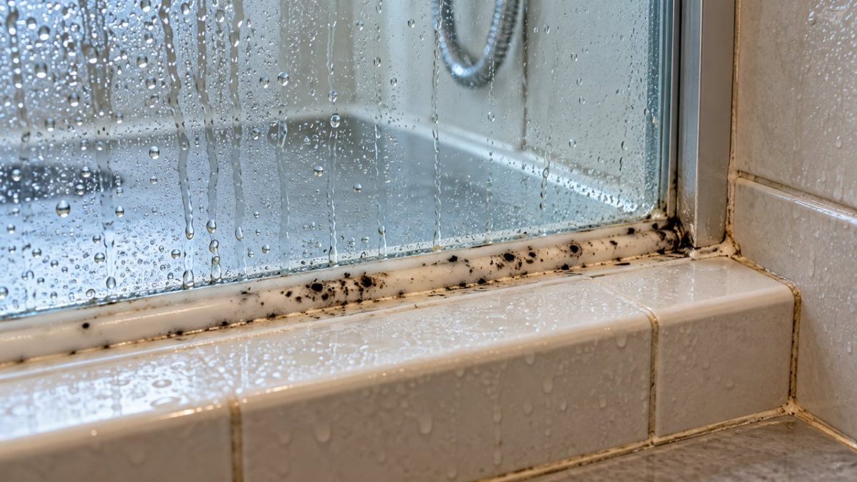 Fechar o banheiro depois do banho e esperar o vapor desaparecer sozinho parece normal, mas na Alemanha a orientação é eliminar rapidamente o excesso de umidade com ventilação para diminuir as condições que favorecem o aparecimento de mofo
