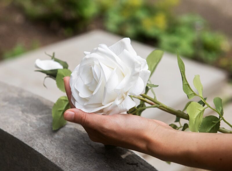 Finados em Curitiba tem feira de adoção, missas e cortejo de velas