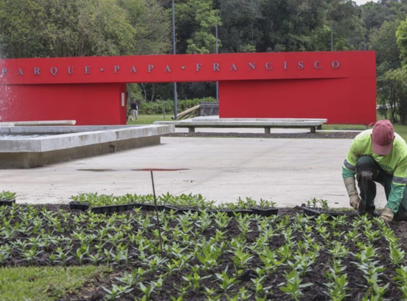 Parques de curitiba ganham 208 mil flores para a primavera