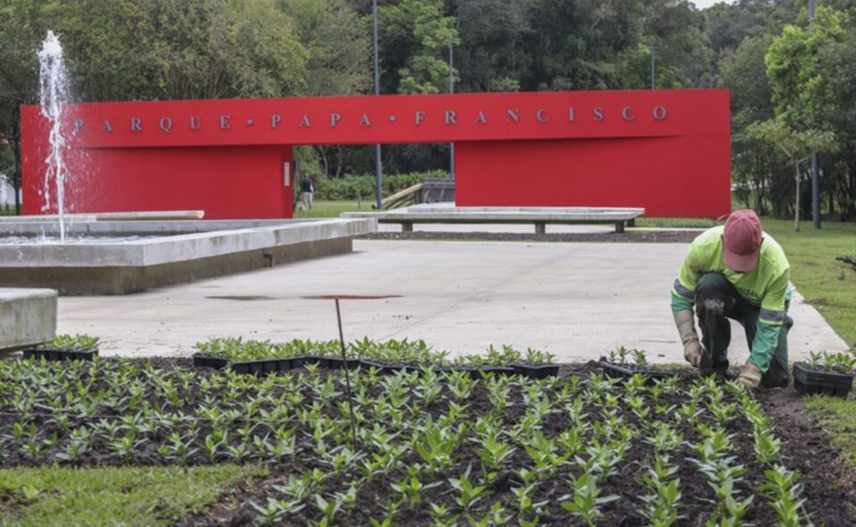 Flores da primavera: veja o roteiro por parques e praças de Curitiba para conhecer os espaços floridos