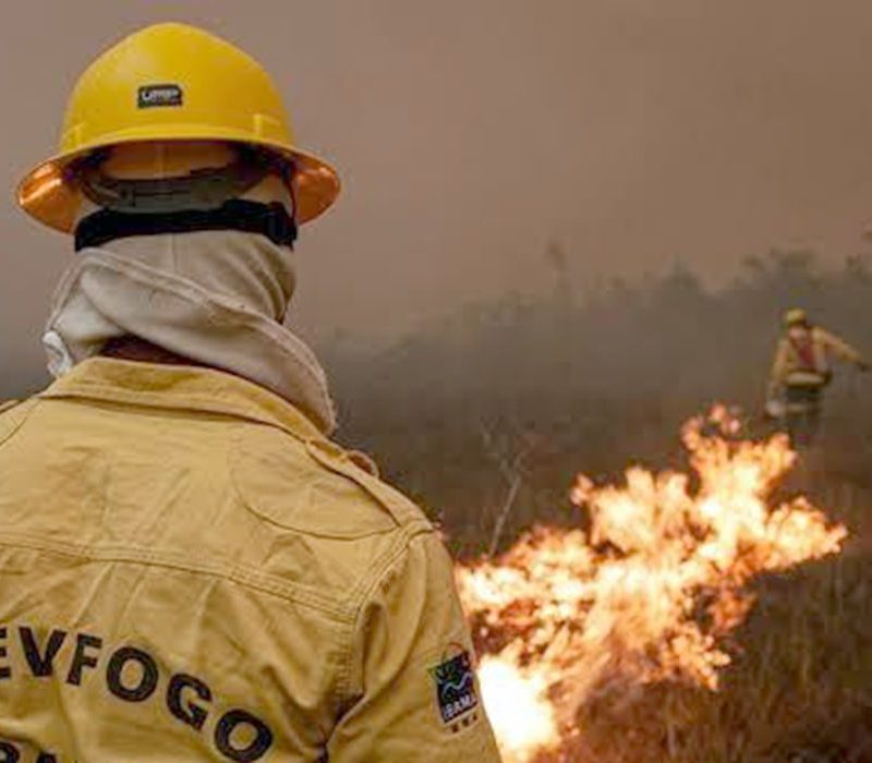 Força-tarefa reduz incêndios florestais no estado do Amazonas