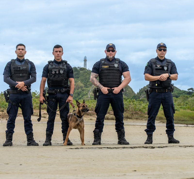 GCM treina cadela K9 na Ilha do Mel para futuras operações contra o tráfico de drogas