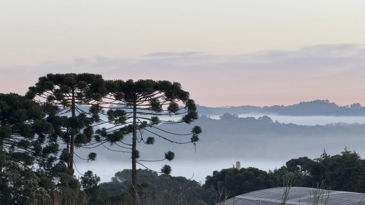 Frente fria derruba temperaturas no paraná e marcas podem atingir 3ºc em outubro