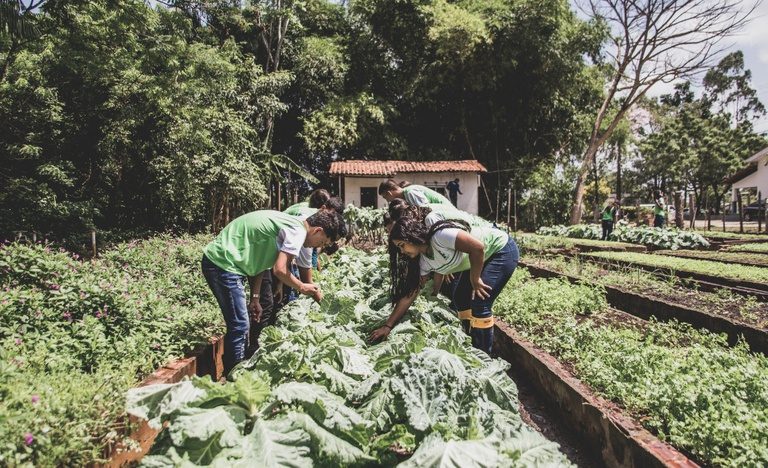 Governo melhora aquisição de alimentos da agricultura familiar