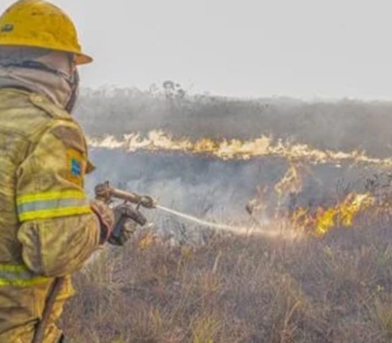 Governo investiga se há ação criminosa organizada por trás dos incêndios no Amazonas