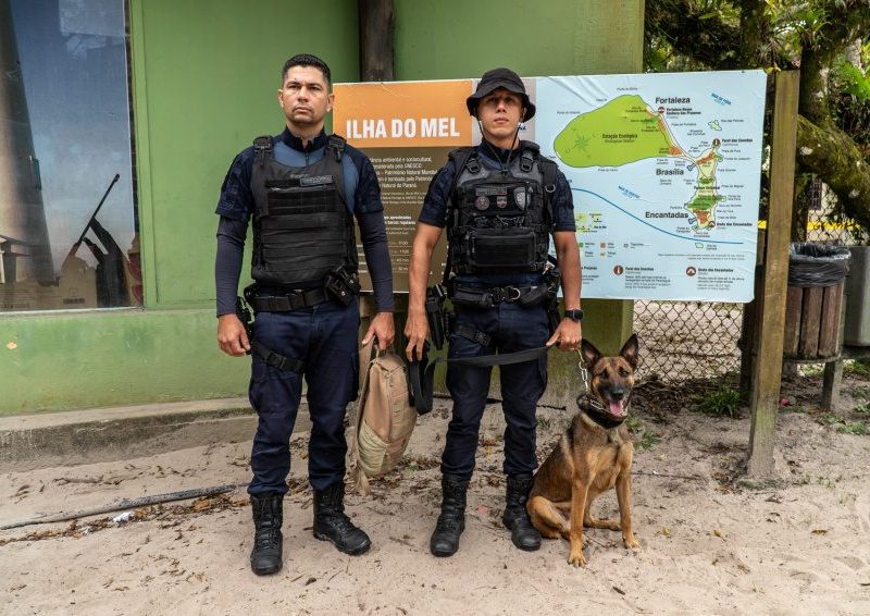 Guarda civil municipal realiza treinamento com cadela K9 na Ilha do Mel