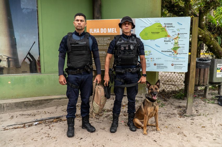 Guarda Civil Municipal treina cadela K9 na Ilha do Mel para futuras operações contra o tráfico de drogas