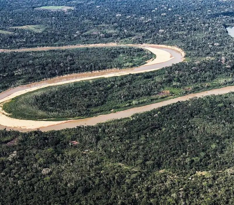 Holanda confirma aporte bilionário em fundo florestal brasileiro