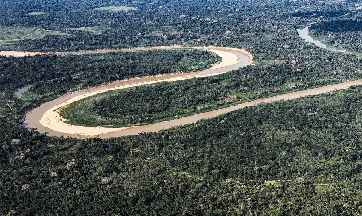 Holanda anuncia US$ 500 milhões em fundo florestal criado pelo Brasil