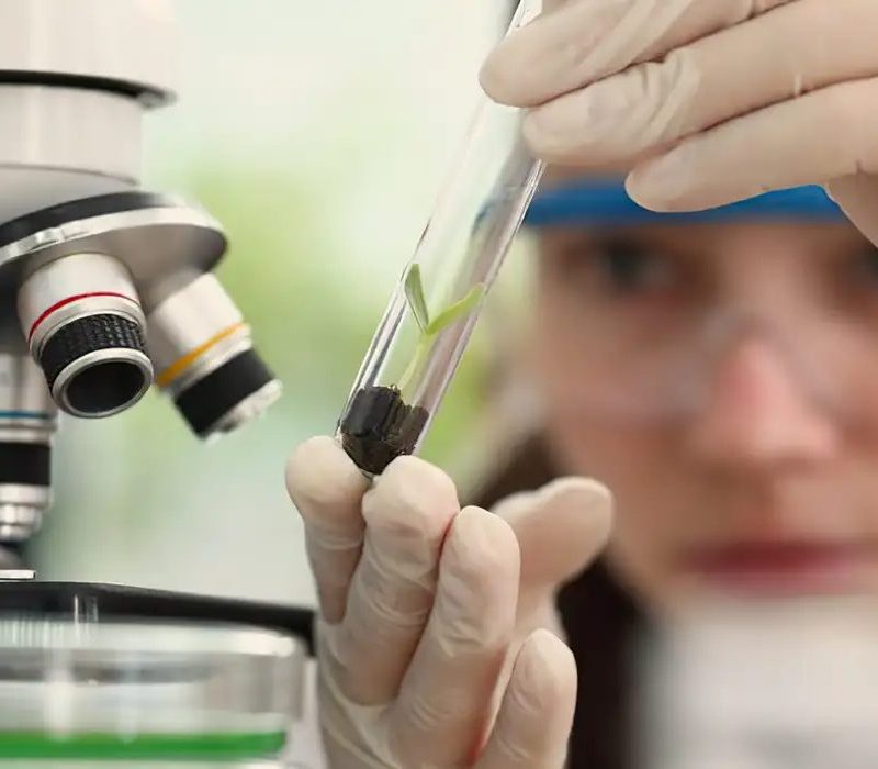 Programa oferece vagas de imersão científica para alunas e professoras